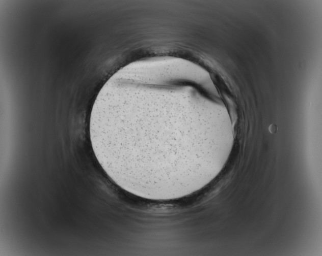 X0000083030497200703022029