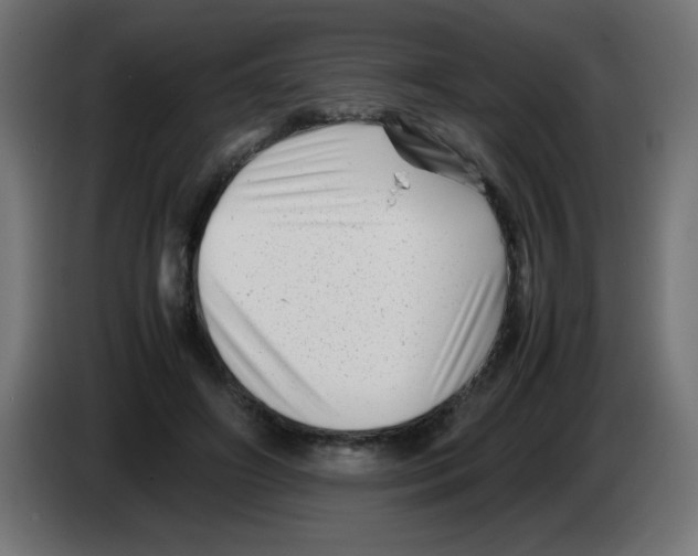 X0000083030498200703022029