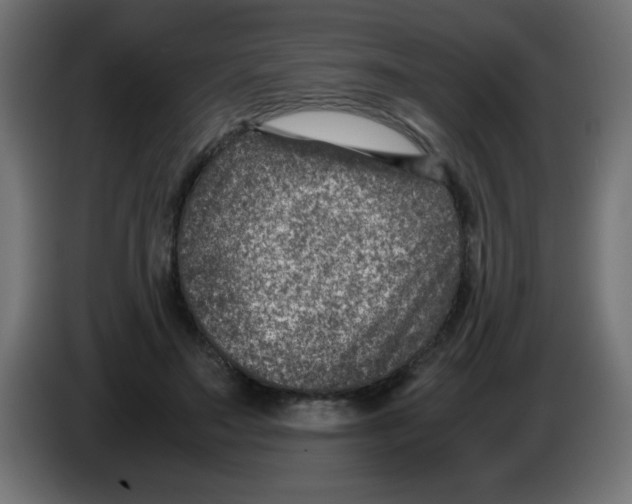 X0000083030499200703022029