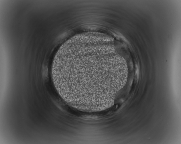 X0000083030500200703022029