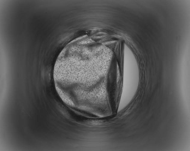 X0000083030501200703022029