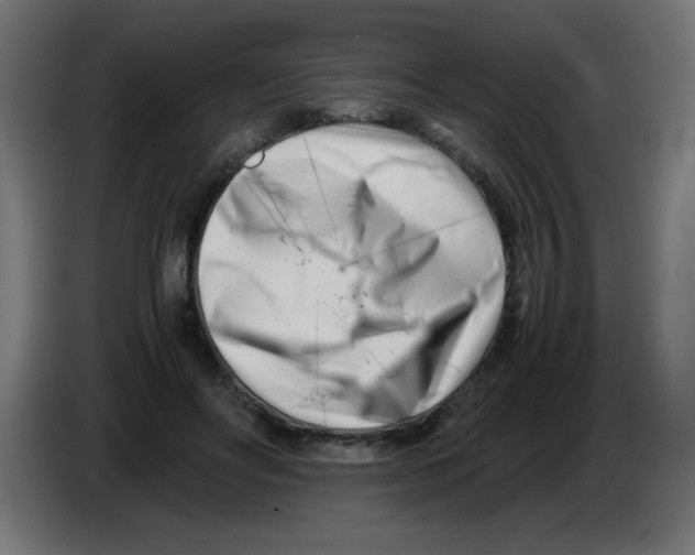 X0000083030502200703022029