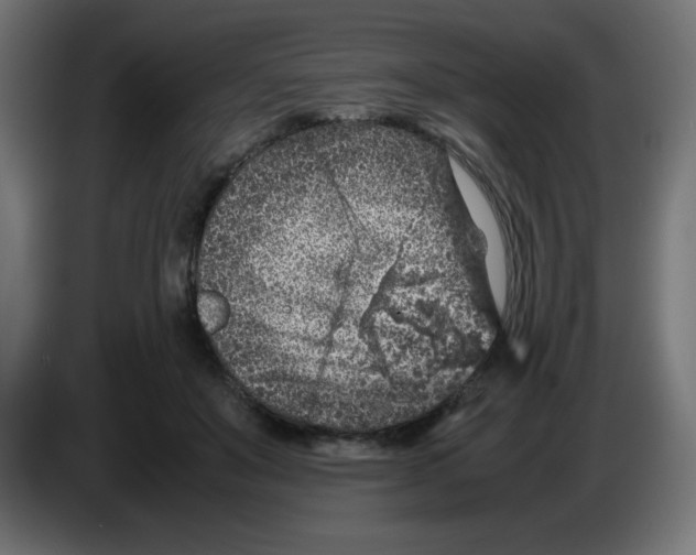 X0000083030503200703022029