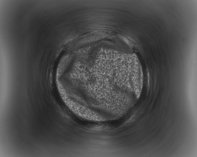 X0000083030504200703022029