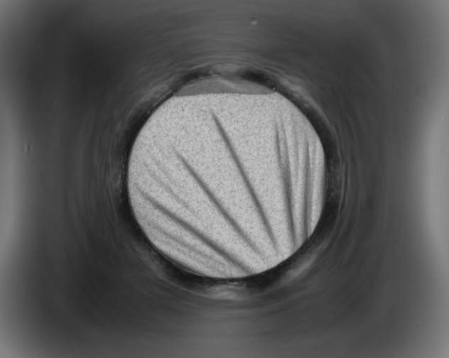 X0000083030505200703022029