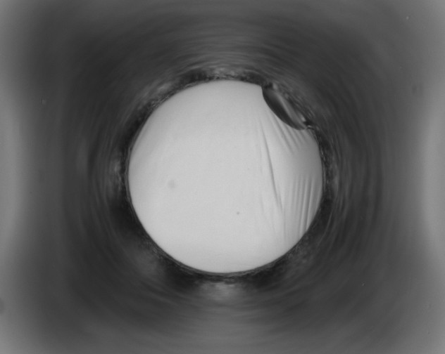 X0000083030506200703022029