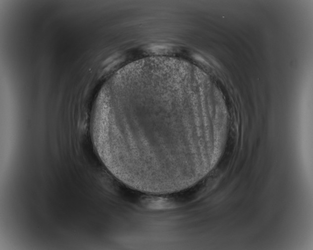 X0000083030507200703022029