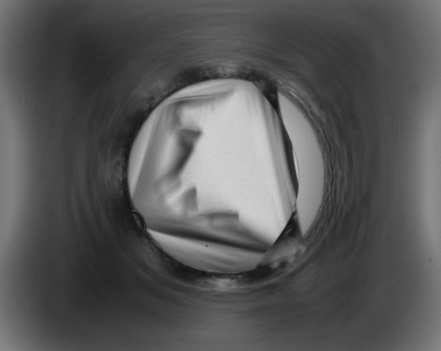 X0000083030509200703022029