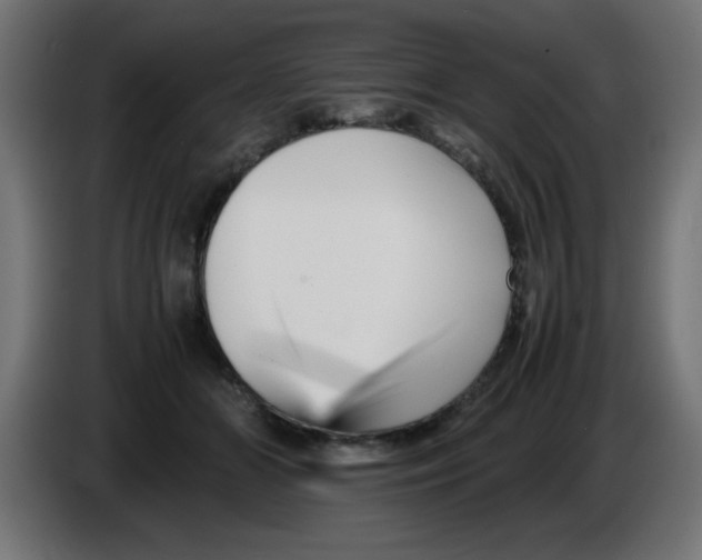 X0000083030510200703022029