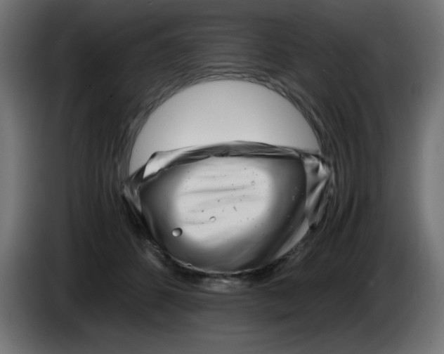 X0000083030512200703022029