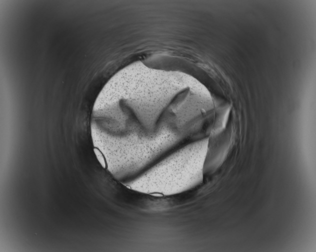 X0000083030513200703022029