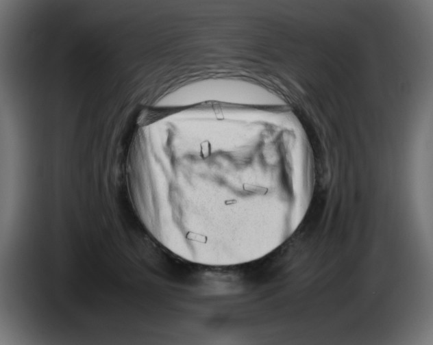 X0000083030515200703022029