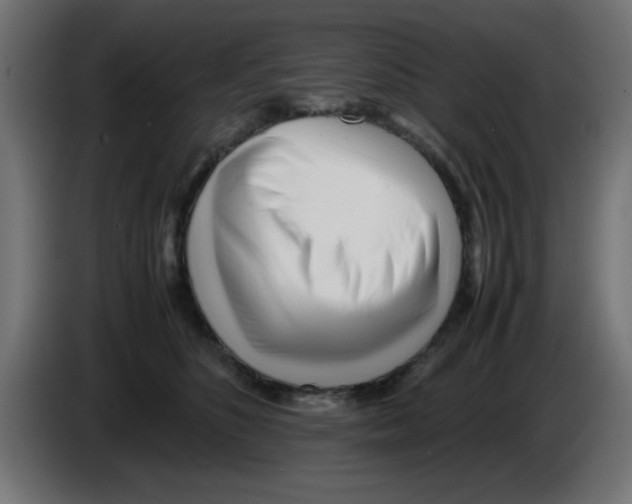 X0000083030516200703022029