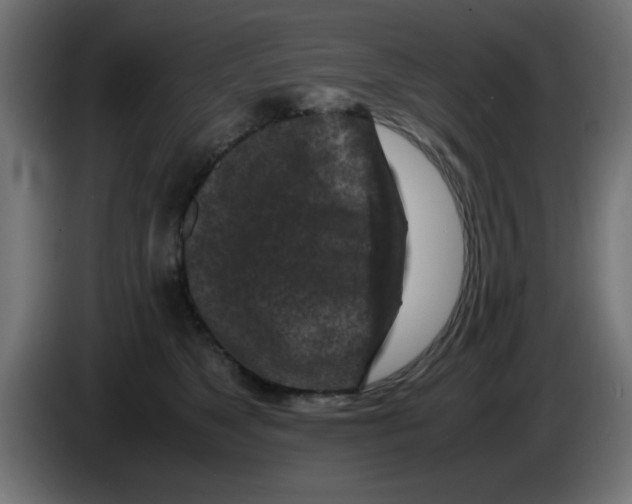 X0000083030517200703022029