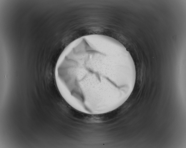 X0000083030518200703022029