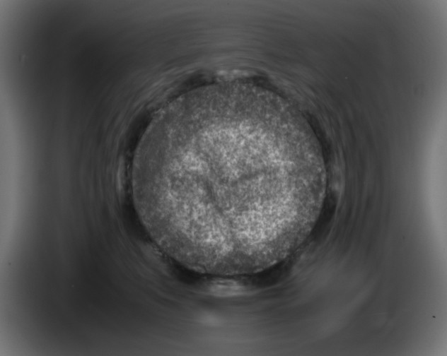 X0000083030519200703022029