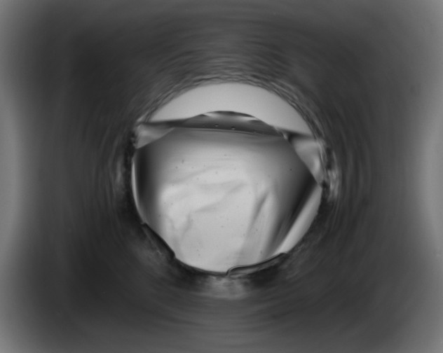 X0000083030520200703022029