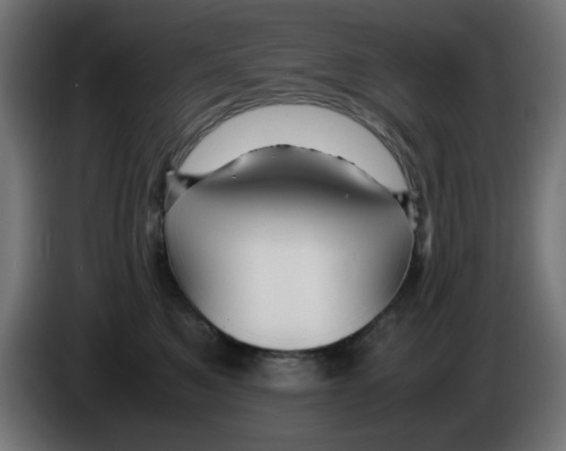 X0000083030521200703022029