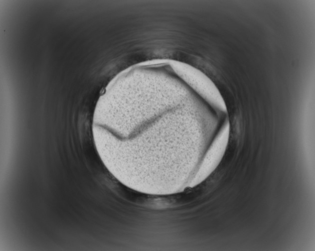 X0000083030522200703022029