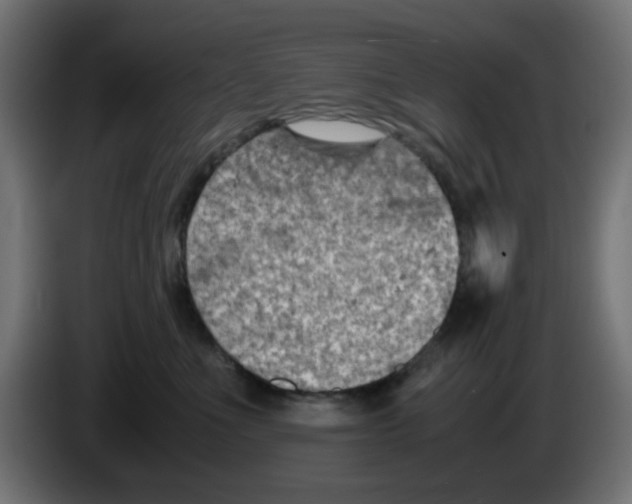 X0000083030523200703022029