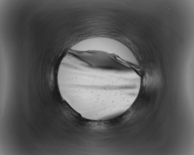 X0000083030524200703022029