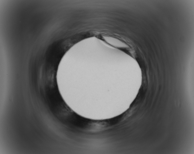 X0000083030525200703022029