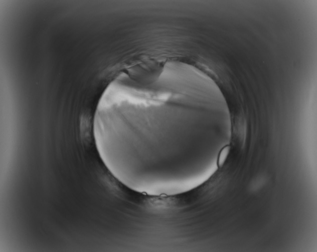 X0000083030526200703022029