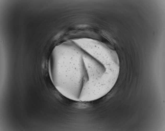 X0000083030528200703022029