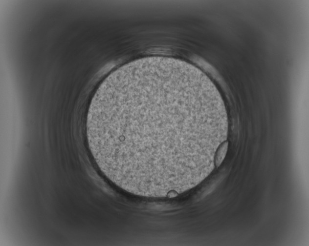 X0000083030529200703022028