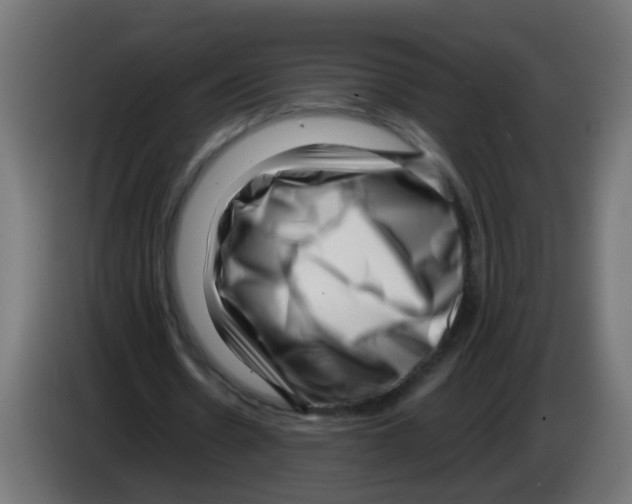 X0000083030530200703022028