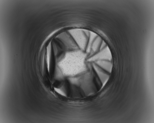 X0000083030532200703022028