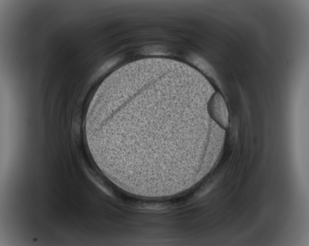 X0000083030533200703022028