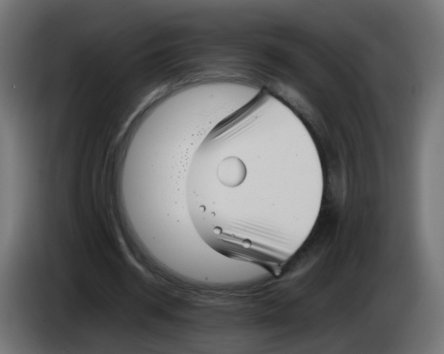 X0000083030534200703022028