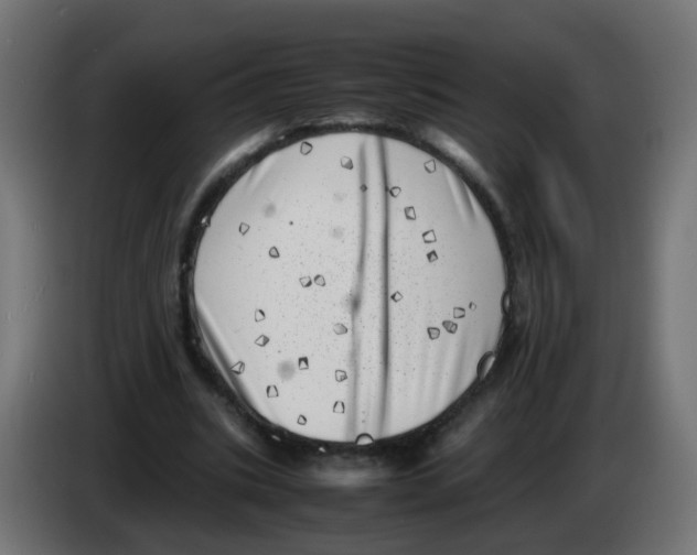 X0000083030535200703022028