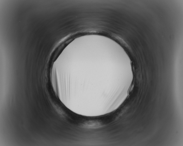 X0000083030536200703022028