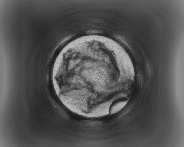 X0000083030539200703022028