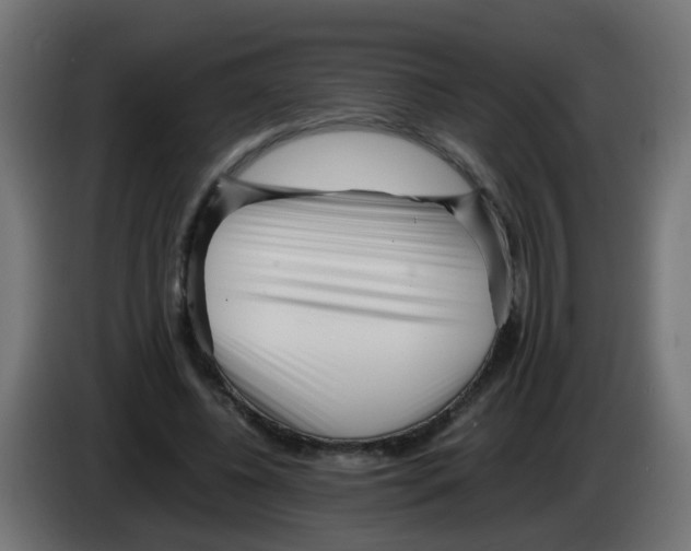 X0000083030540200703022028