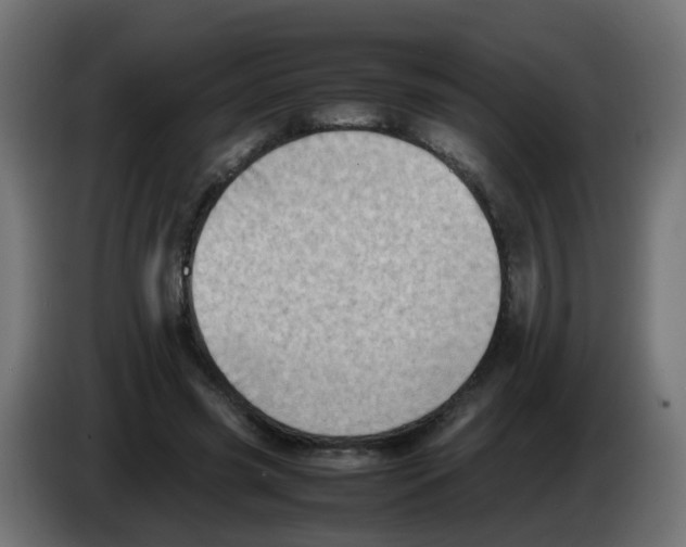 X0000083030541200703022028