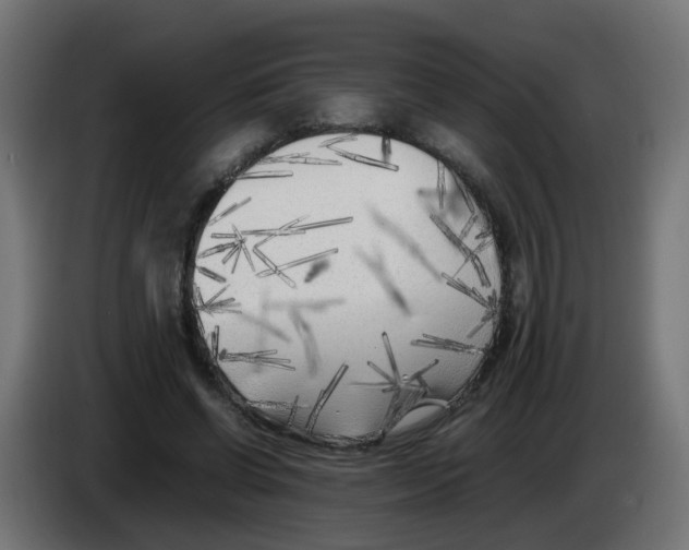 X0000083030542200703022028