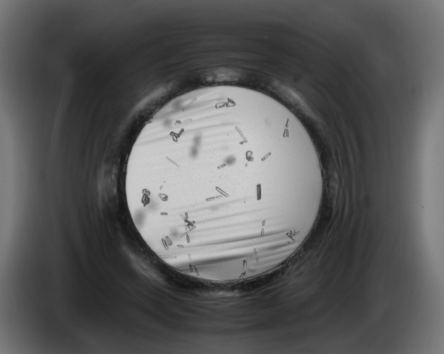 X0000083030543200703022028