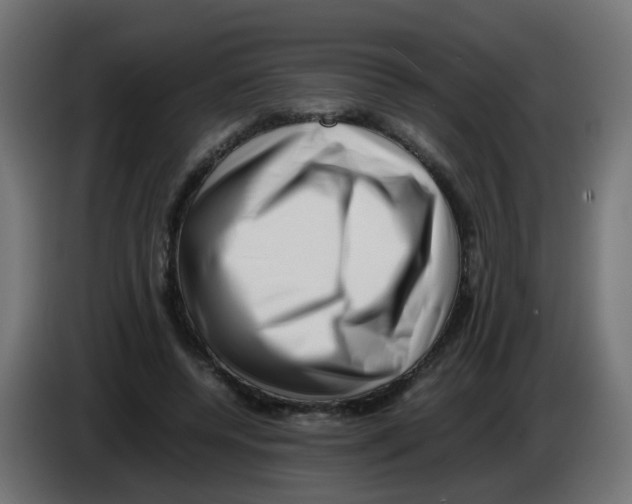 X0000083030544200703022028