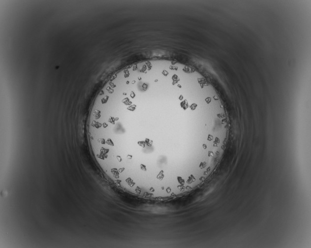 X0000083030545200703022028