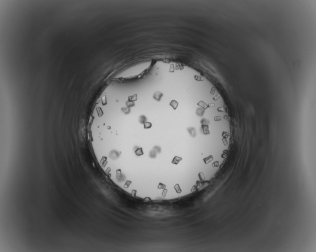 X0000083030549200703022028