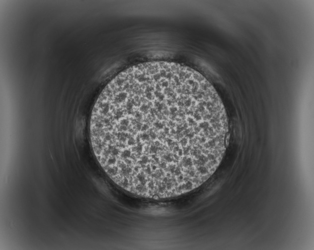 X0000083030550200703022028