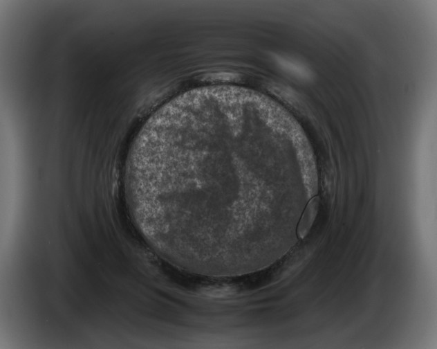 X0000083030551200703022028