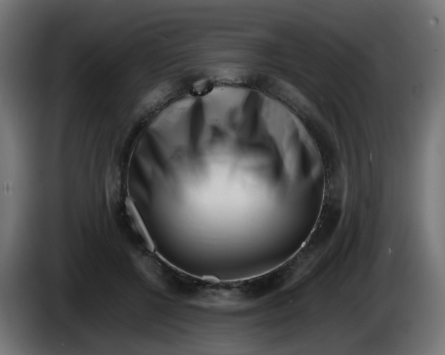 X0000083030552200703022028