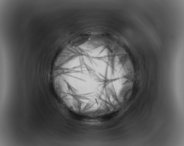 X0000083030553200703022028