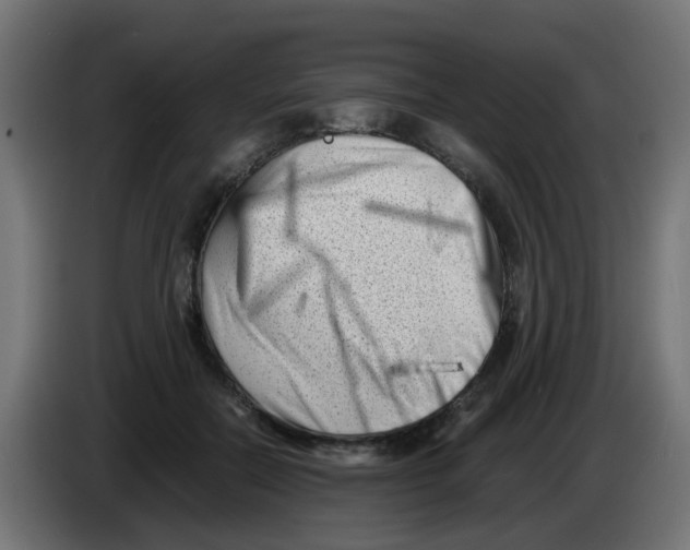 X0000083030554200703022028