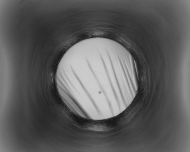 X0000083030555200703022028