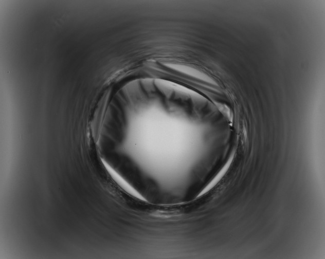 X0000083030556200703022028